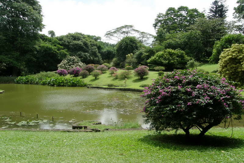 Sri Lanka, Kandy, Royal Botanical Garden